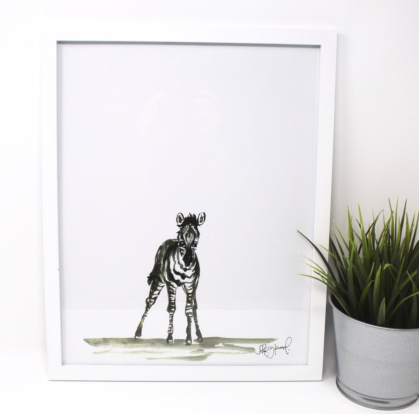 Baby Zebra Art Print- 11x14