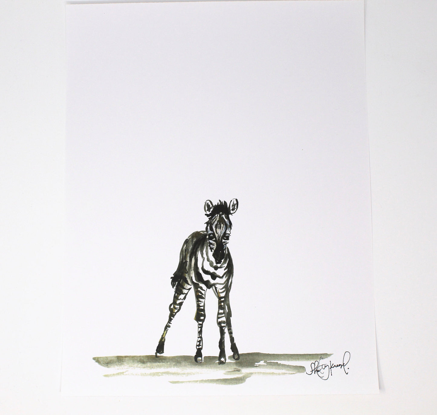 Baby Zebra Art Print- 11x14