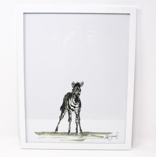 Baby Zebra Art Print- 11x14